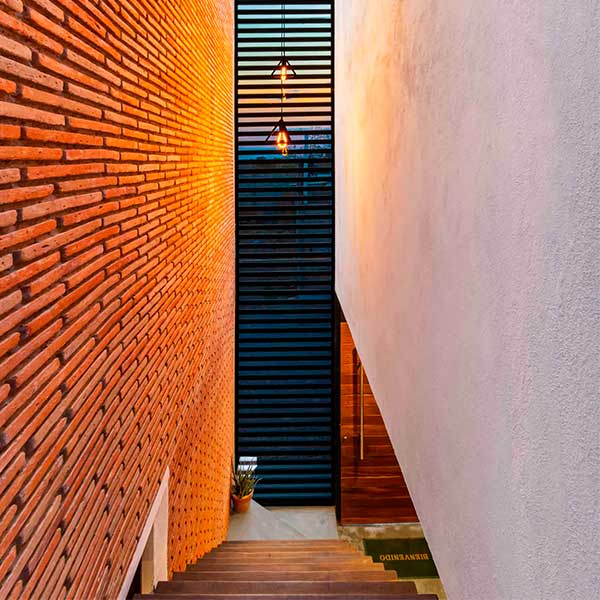Muro cintilla de 6x50